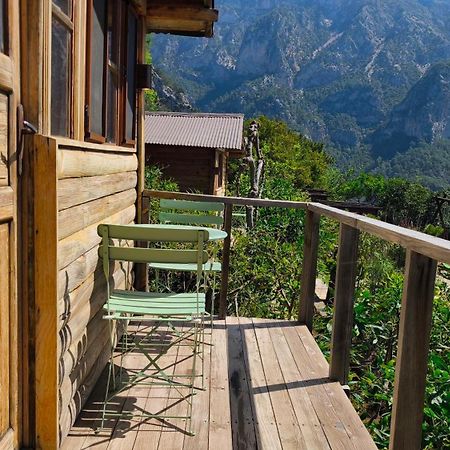 Olive Garden Kabak Hotel Faralya Exterior photo