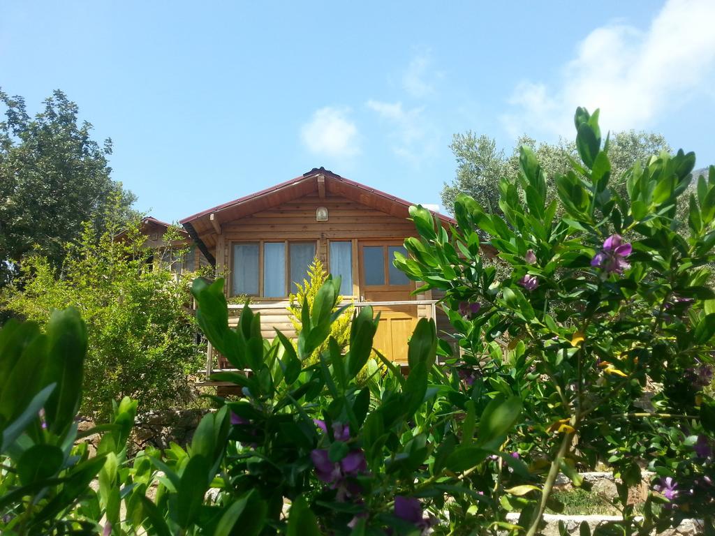 Olive Garden Kabak Hotel Faralya Exterior photo