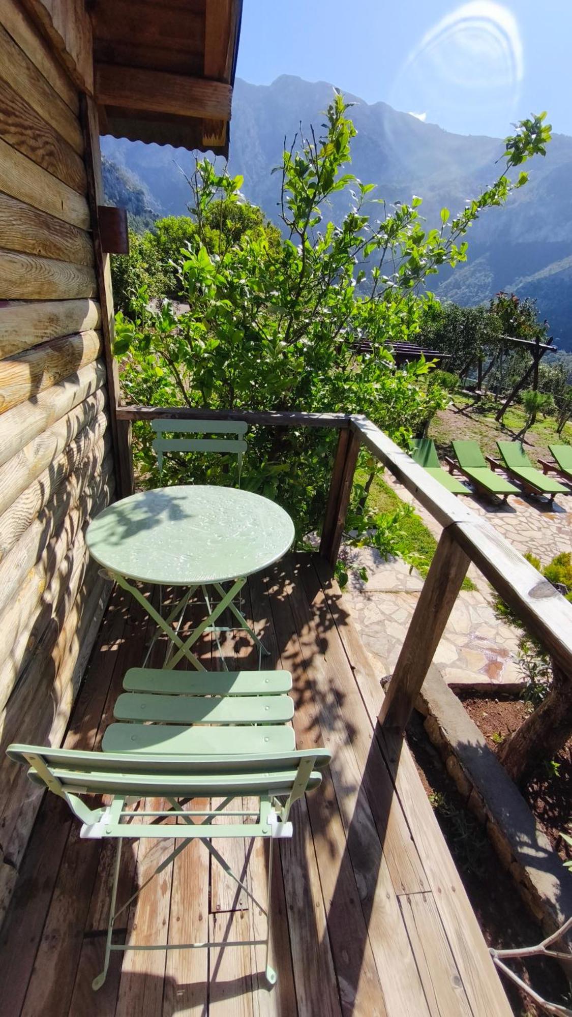 Olive Garden Kabak Hotel Faralya Exterior photo