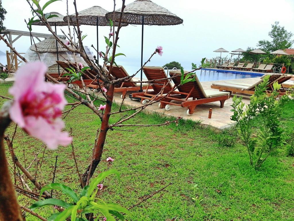 Olive Garden Kabak Hotel Faralya Exterior photo