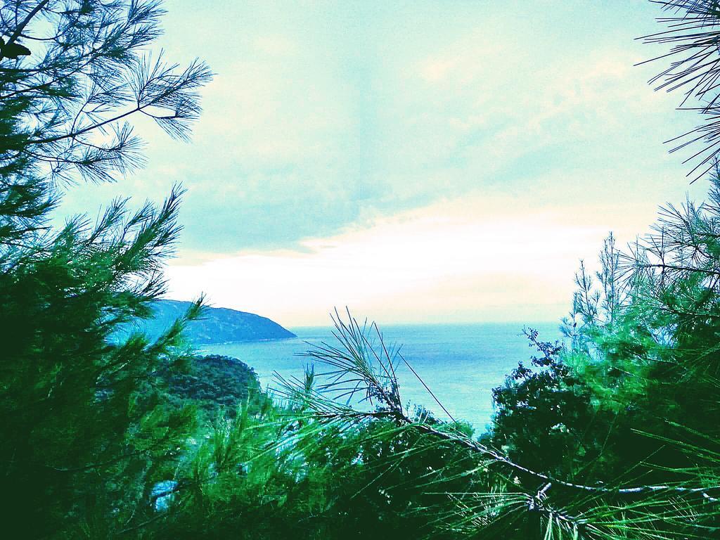 Olive Garden Kabak Hotel Faralya Exterior photo