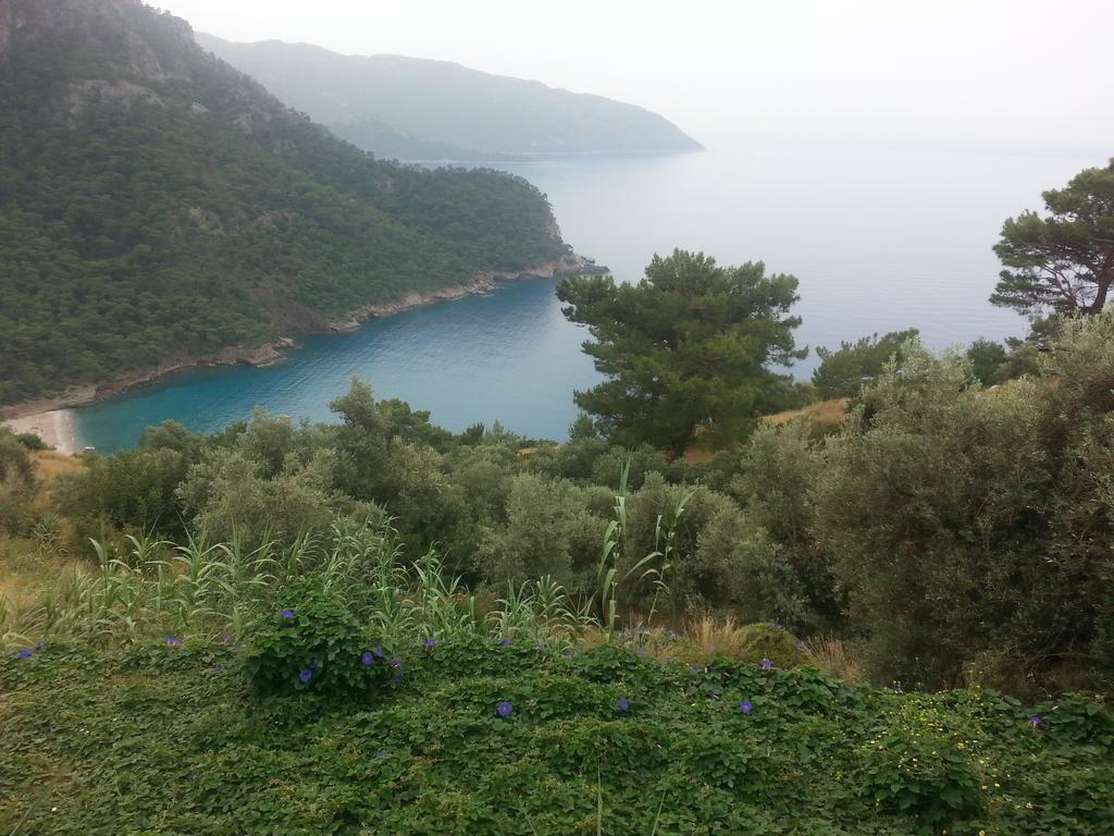 Olive Garden Kabak Hotel Faralya Exterior photo