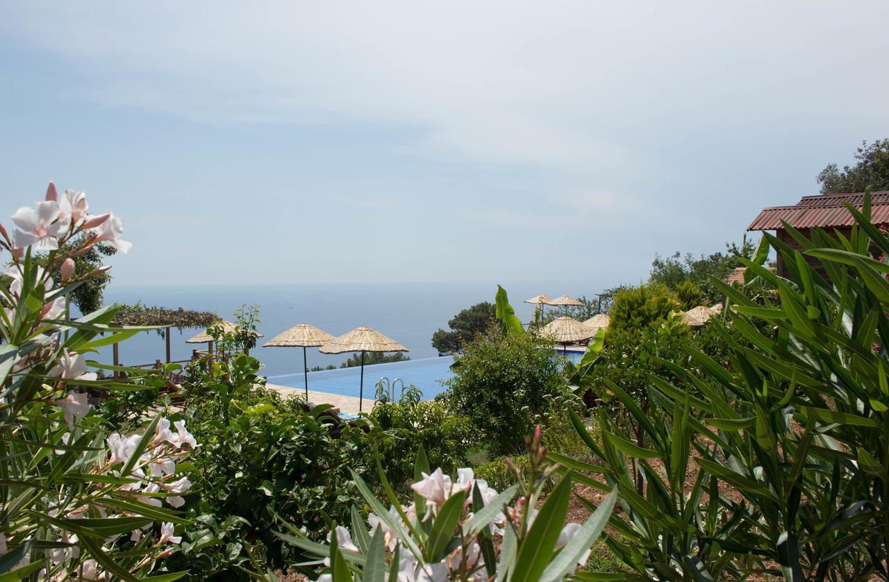 Olive Garden Kabak Hotel Faralya Exterior photo